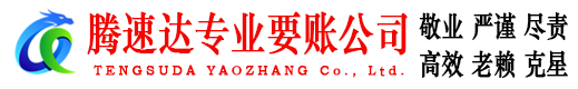 天长腾速达追账公司